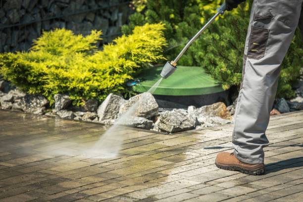 Best Roof Cleaning and Mildew Removal in Seven Points, TX